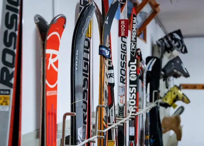 Отель Sci Sport & 3*