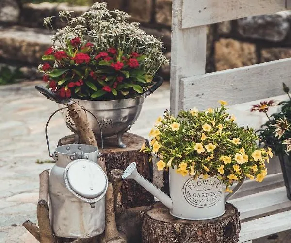 Sci Sport & Отель 3*